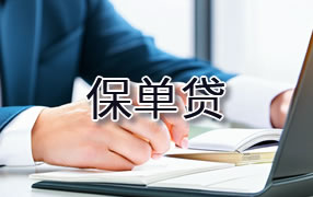 日照保单贷